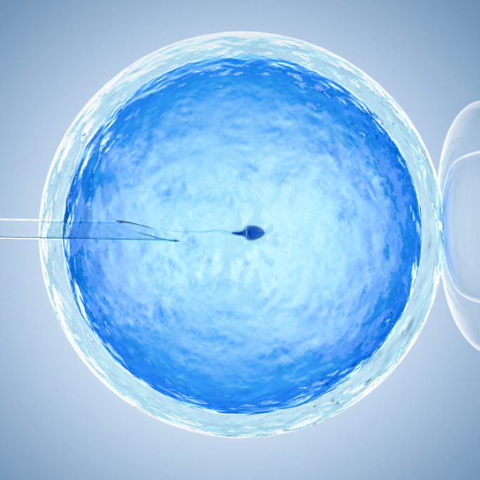 Fecundación In Vitro Centro Procrea