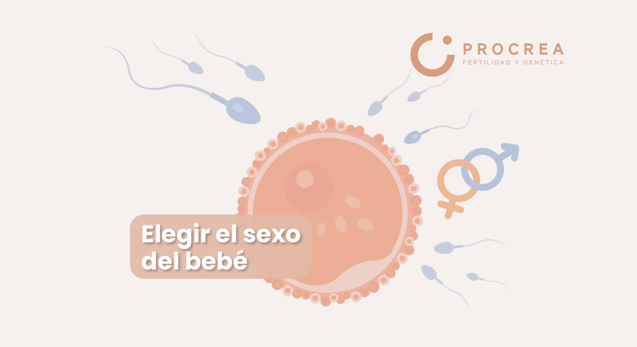 ¿Es posible elegir el sexo del bebé?
